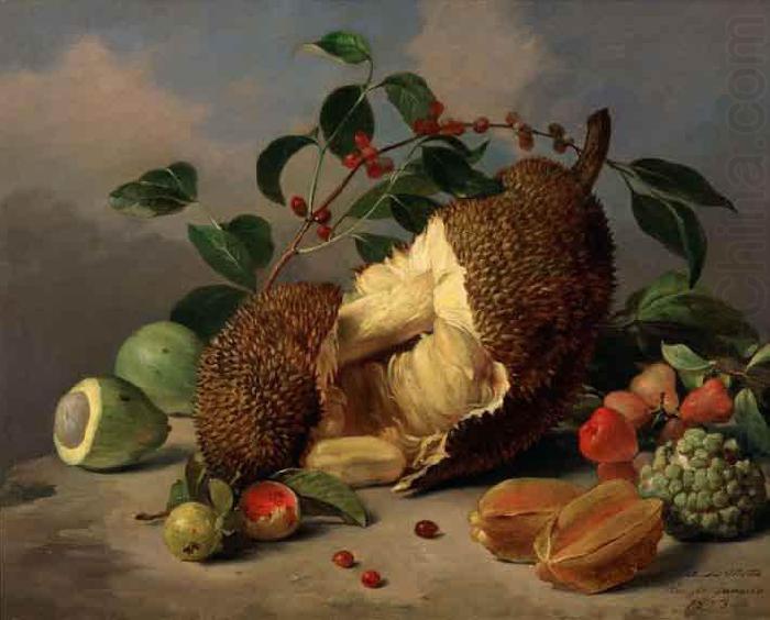 Still life with fruit, unknow artist